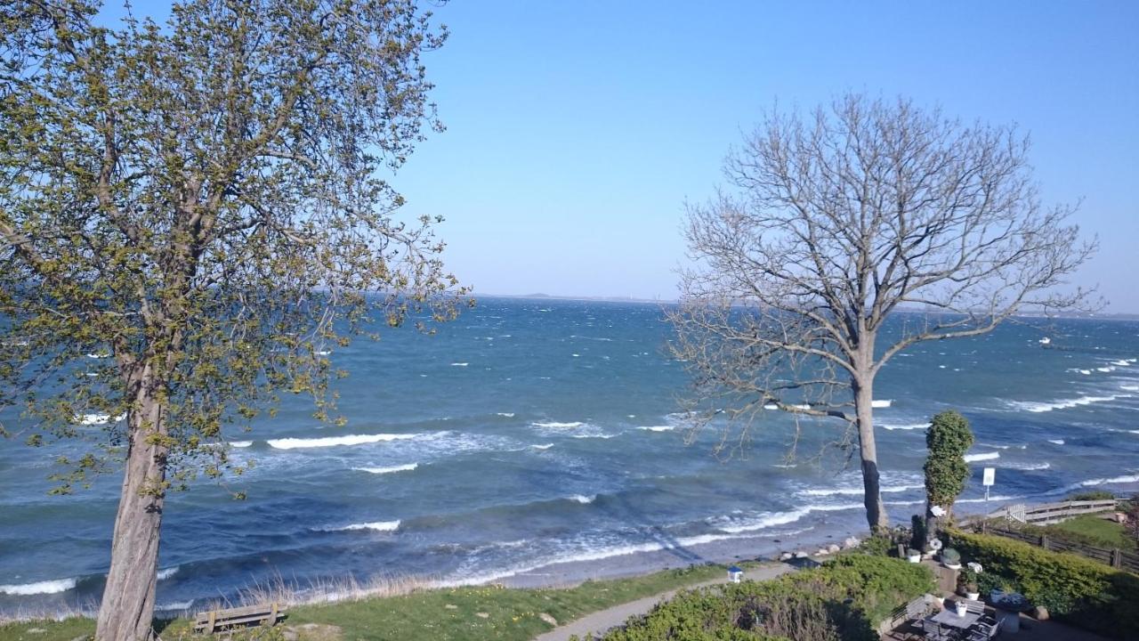 Strandappartement Steinberghaff "Zur Birk" Mit Meerblick Steinberg (Schleswig-Holstein) Exterior foto