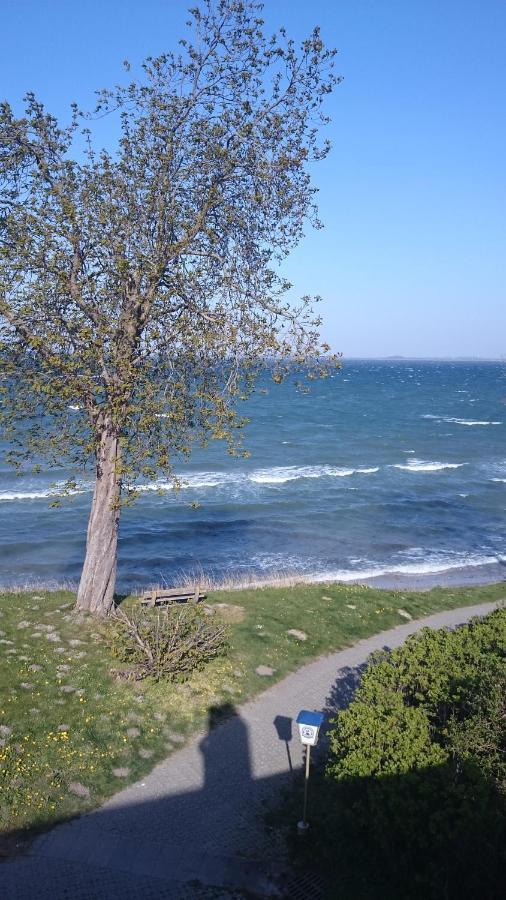 Strandappartement Steinberghaff "Zur Birk" Mit Meerblick Steinberg (Schleswig-Holstein) Exterior foto